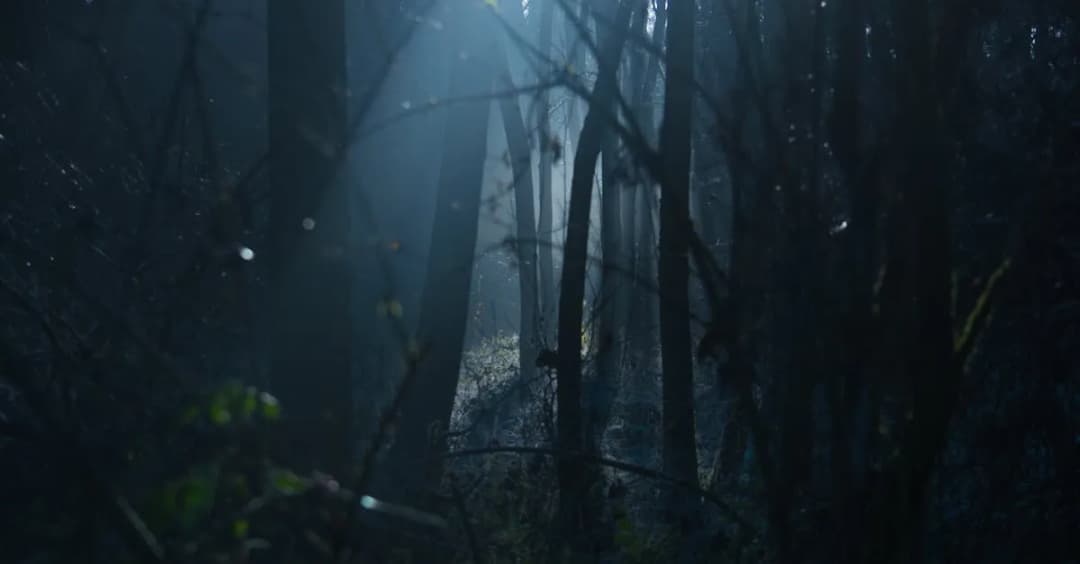 Czy Diablo doczeka się ekranizacji? Plotki i fakty