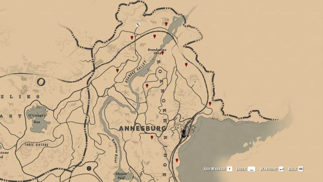 Gdzie znaleźć pumę w RDR2? Tropem najgroźniejszego drapieżnika